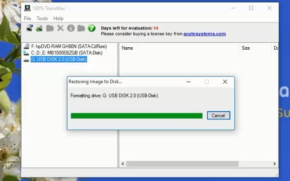 Dmg file download windows